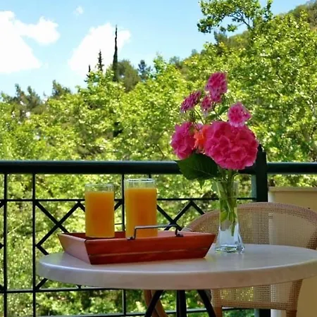 Guest house Archontiko Tou Ziaka