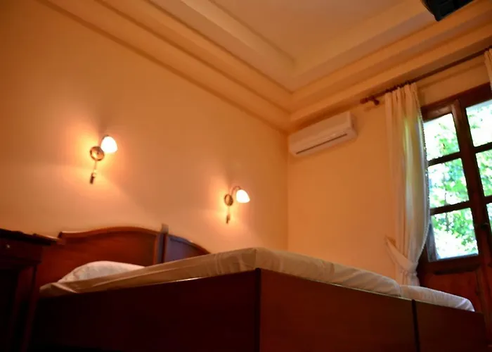 Guest house Archontiko Tou Ziaka 4*