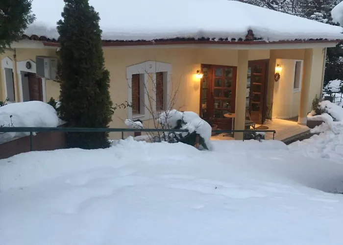 Guest house Archontiko Tou Ziaka 4*